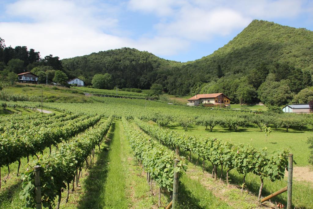 Ecohotel Rural Angiz Busturia 외부 사진